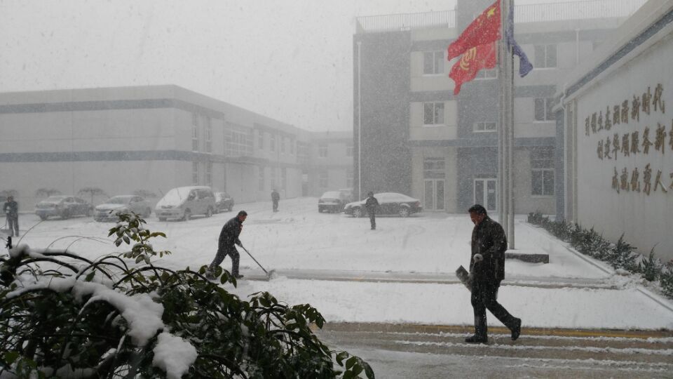 冰雪丽人冰淇淋机