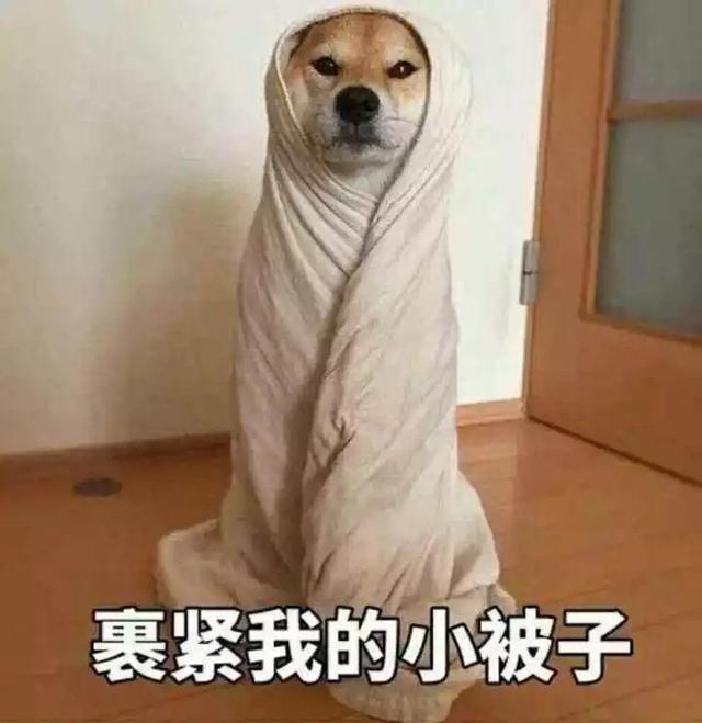 冰淇淋机