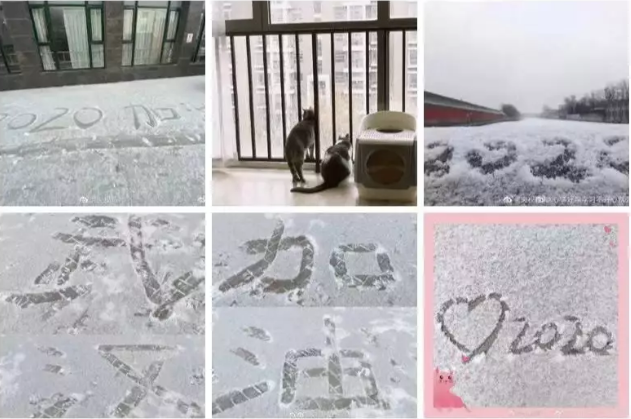 玩雪真的会传染病毒吗1